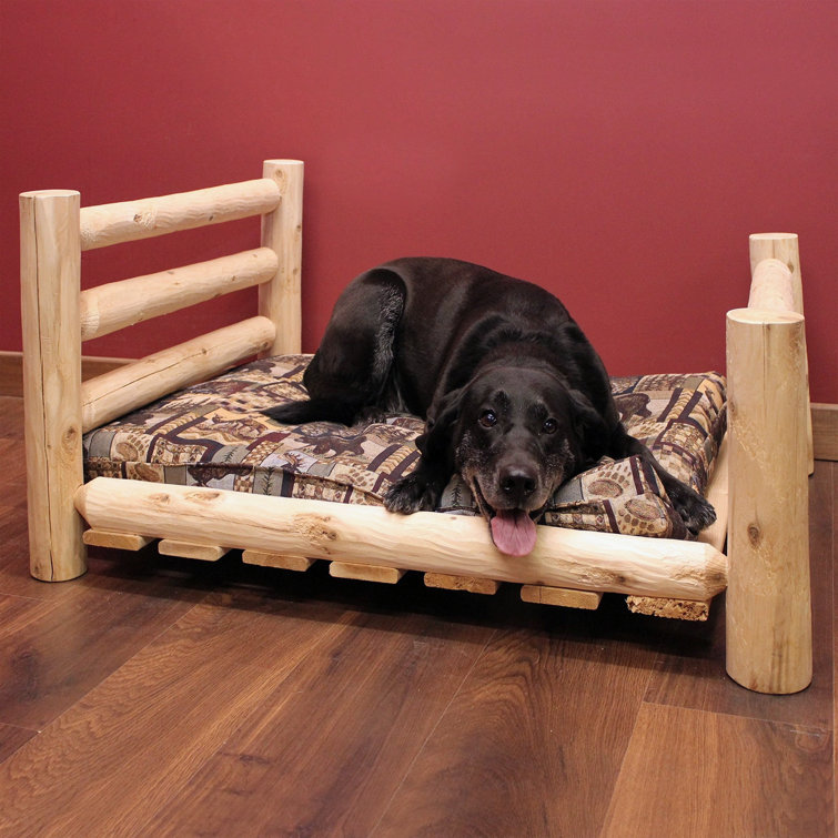 Wayfair canada best sale dog beds